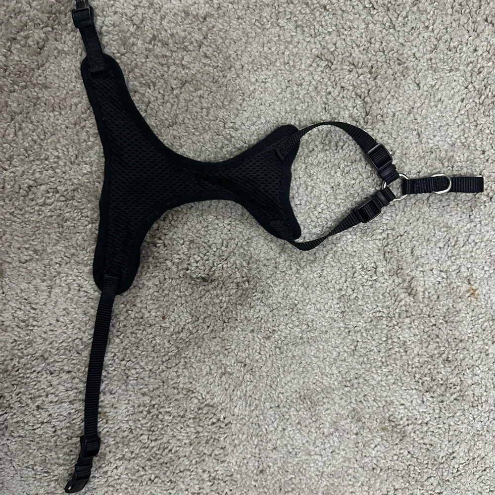 size xs/s cat harness